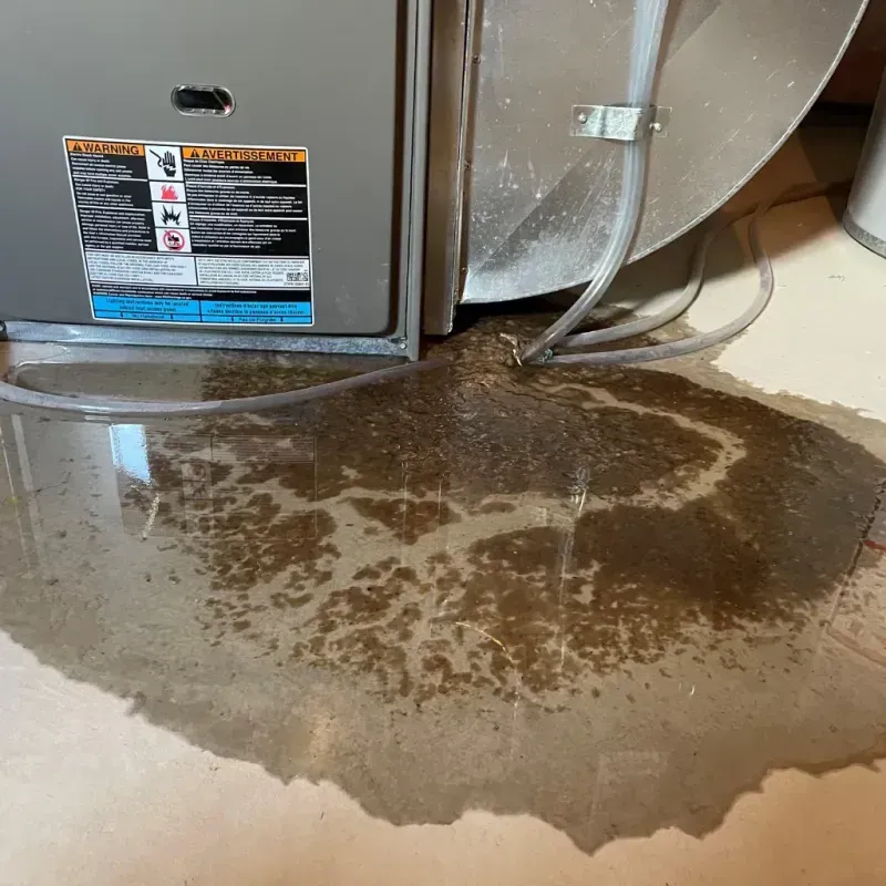 Appliance Leak Cleanup in Oakwood, IL